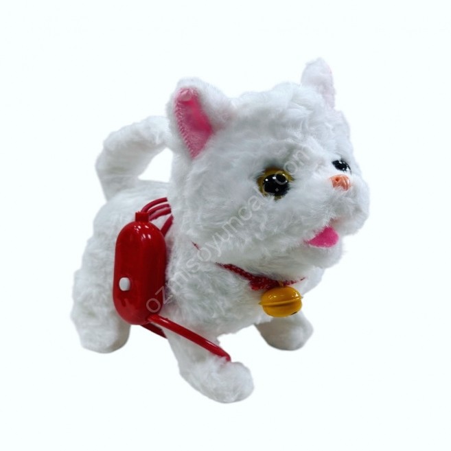 Kablo kumandalı kedi oyd 2026-11