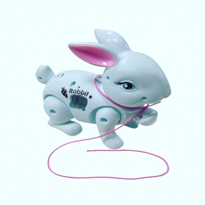 Pilli Işıklı sesli tavşan cn 029