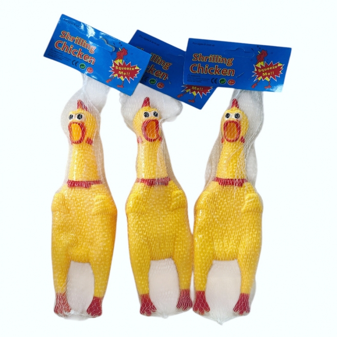 Öten tavuk orta hg 3098