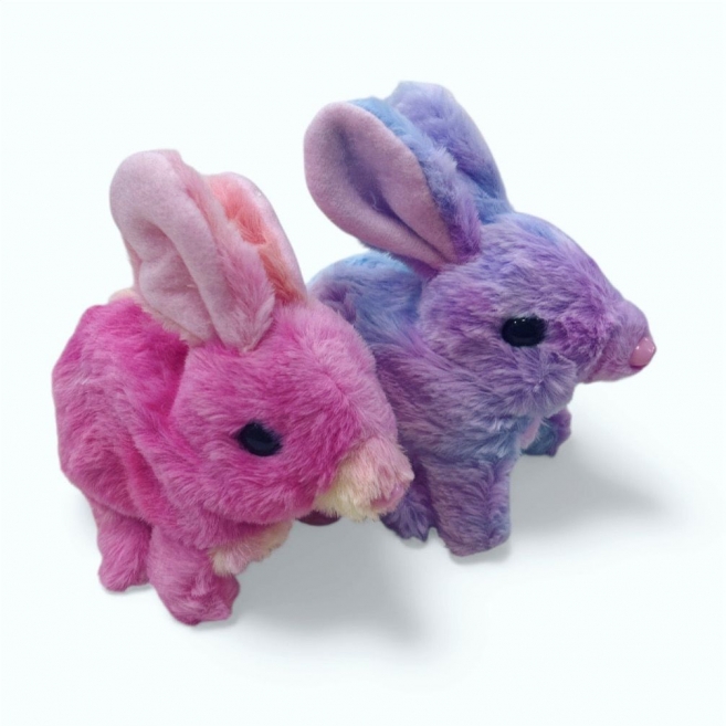 Pilli renkli tavşan str 2302